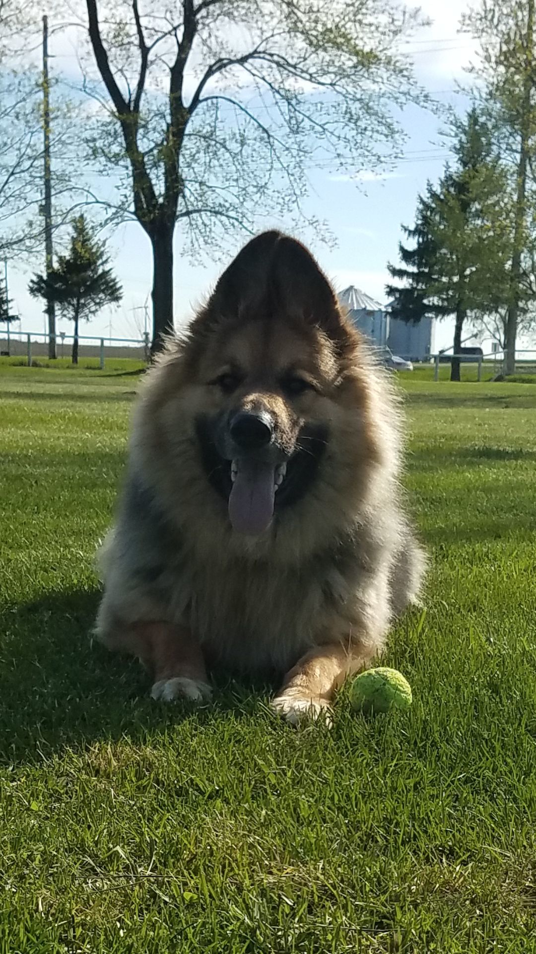 Kaiser
